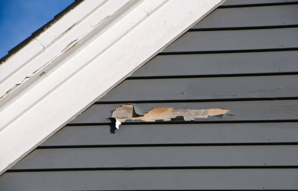 Best Same-Day Junk Removal Services  in Boonville, MO